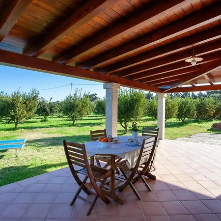Casa Barvis *